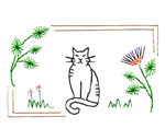 kitty the cat